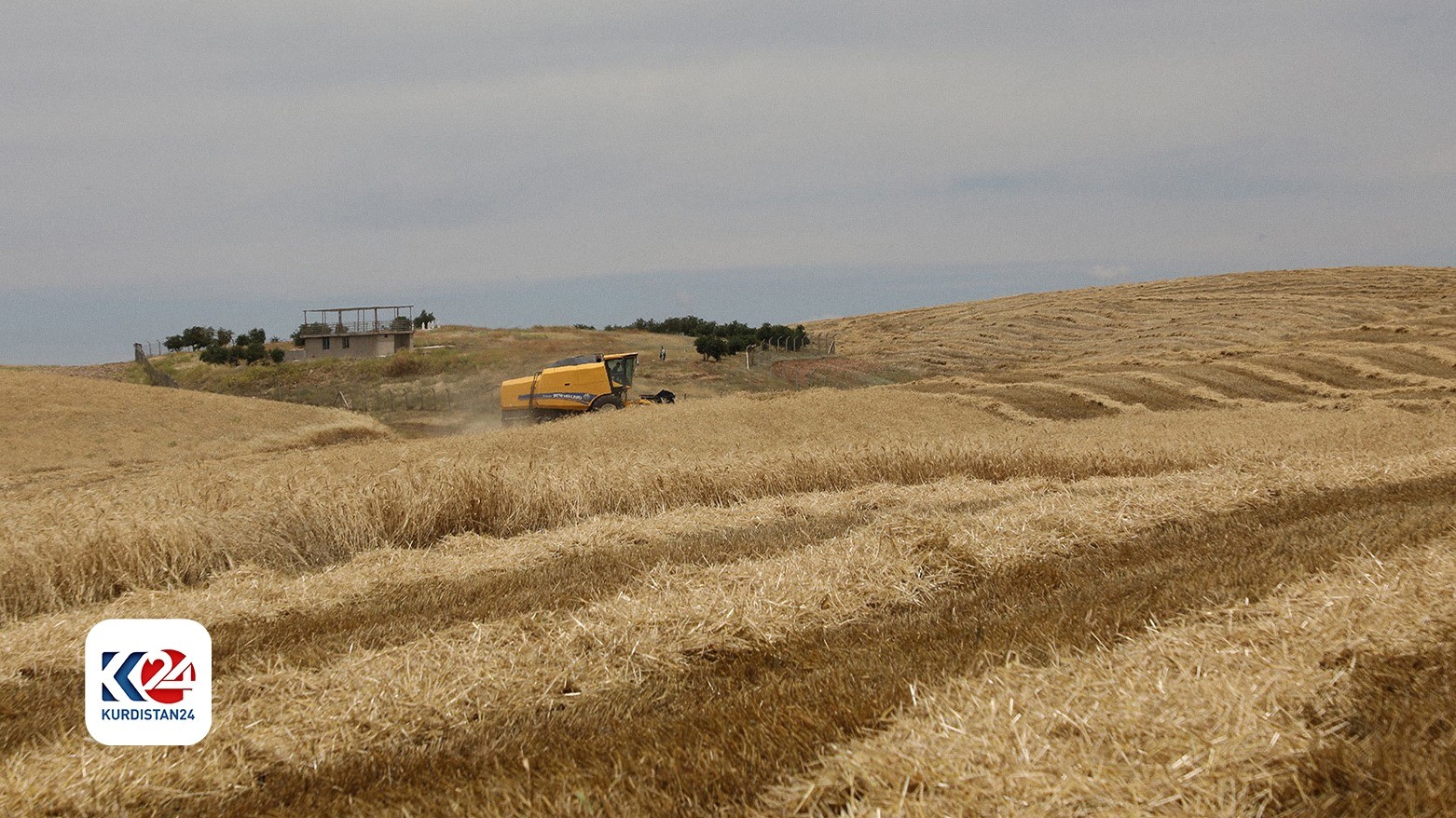 The Kurdistan Region’s Prime Minister made profound efforts; farmers can sell out more wheat